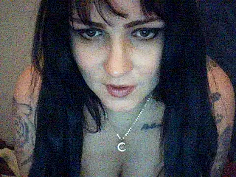 Kittytats online show from 24, 3, 2026