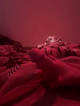 Snapshot of 689Nika chatting on 7, 4, 2026 689Nika online show from 7, 4, 2026