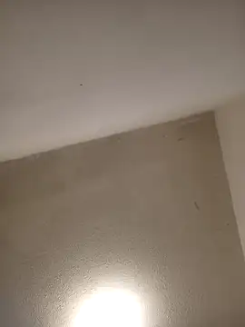 Snapshot of priscilaf chatting on 7, 4, 2026 priscilaf online show from 7, 4, 2026