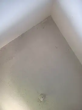 Snapshot of priscilaf chatting on 19, 4, 2026 priscilaf online show from 19, 4, 2026