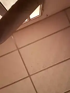 Snapshot of darwinmodell chatting on 28, 12, 2024 darwinmodell online show from 28, 12, 2024