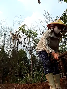 Heylen hooo online show from 29, 3, 2026