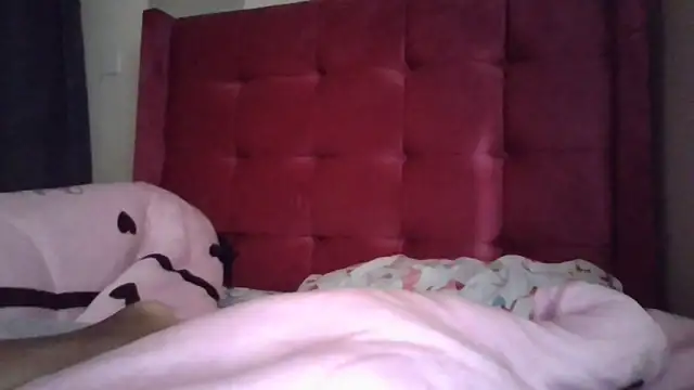 Snapshot of Babydika chatting on 28, 3, 2026 Babydika online show from 28, 3, 2026