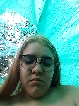 single kitten online show from 25, 3, 2026