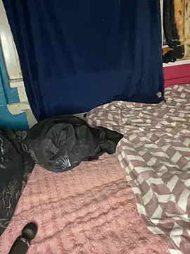 Snapshot of Melissa-Schneider chatting on 5, 4, 2026 Melissa-Schneider online show from 5, 4, 2026