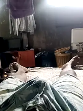 Snapshot of Javier_068 chatting on 7, 4, 2026 Javier 068 online show from 7, 4, 2026