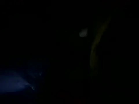 MahmudTheBator online show from 10, 4, 2026