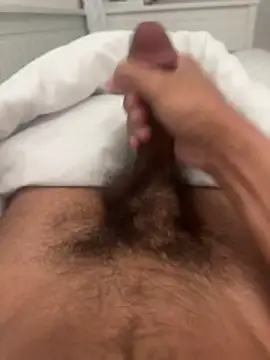 Snapshot of adhesivetn chatting on 25, 3, 2026 adhesivetn online show from 25, 3, 2026