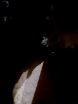 Snapshot of Adix_02six chatting on 14, 4, 2026 Adix 02six online show from 14, 4, 2026