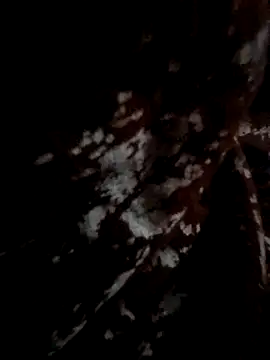 Snapshot of Couple_hot999 chatting on 4, 3, 2026 Couple hot999 online show from 4, 3, 2026