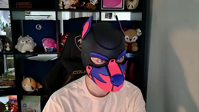 Snapshot of MellPUP chatting on 11, 6, 2026 MellPUP online show from 11, 6, 2026