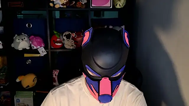 Snapshot of MellPUP chatting on 19, 6, 2026 MellPUP online show from 19, 6, 2026