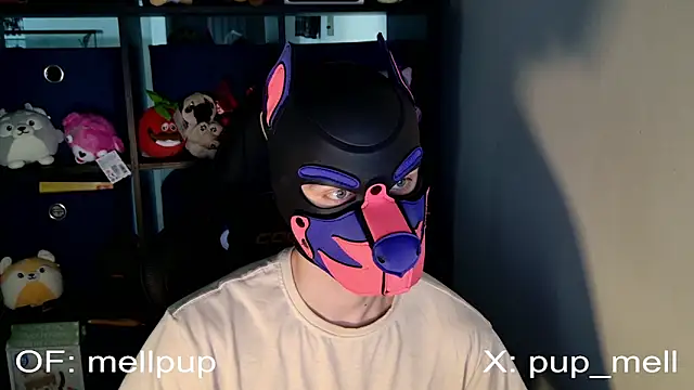 Snapshot of MellPUP chatting on 25, 6, 2026 MellPUP online show from 25, 6, 2026