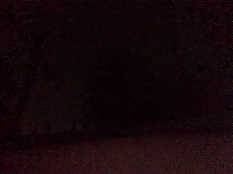 Snapshot of Donkie909 chatting on 9, 4, 2026 Donkie909 online show from 9, 4, 2026