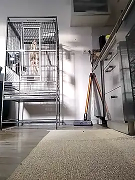 Snapshot of sexy8993 chatting on 13, 4, 2026 sexy8993 online show from 13, 4, 2026