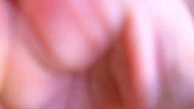 Snapshot of Jimmy_Doss chatting on 25, 4, 2026 Jimmy Doss online show from 25, 4, 2026