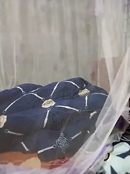 Snapshot of mylove-cute chatting on 2, 4, 2026 mylove-cute online show from 2, 4, 2026