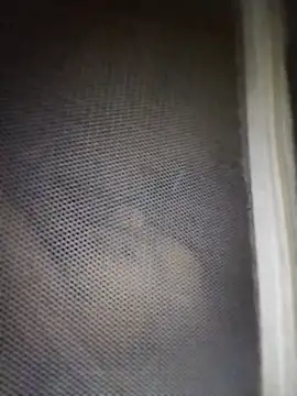 Snapshot of mylove-cute chatting on 11, 4, 2026 mylove-cute online show from 11, 4, 2026