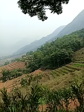 Snapshot of Yuhi3d chatting on 14, 4, 2026 Yuhi3d online show from 14, 4, 2026