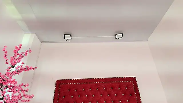 Snapshot of Daphne_glas chatting on 1, 4, 2026 Daphne glas online show from 1, 4, 2026