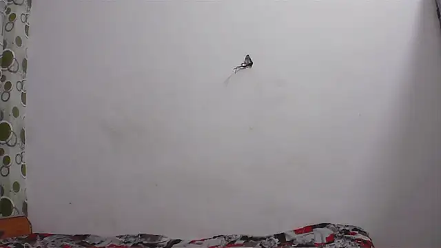 Snapshot of hard_to_do__ chatting on 11, 4, 2026 hard to do online show from 11, 4, 2026