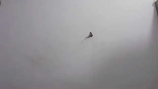 Snapshot of hard_to_do__ chatting on 20, 4, 2026 hard to do online show from 20, 4, 2026