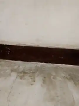 Snapshot of Student_girl00 chatting on 15, 3, 2026 Student girl00 online show from 15, 3, 2026