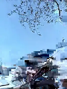 Snapshot of Yellow-pink chatting on 12, 4, 2026 Yellow-pink online show from 12, 4, 2026