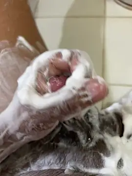 Snapshot of Chotiluli4 chatting on 12, 4, 2026 Chotiluli4 online show from 12, 4, 2026