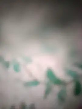 Snapshot of King_night1 chatting on 25, 3, 2026 King night1 online show from 25, 3, 2026