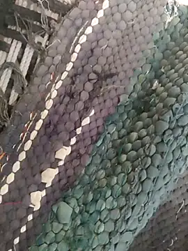 Snapshot of King_night1 chatting on 12, 4, 2026 King night1 online show from 12, 4, 2026