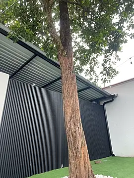 Snapshot of Bella-Ferrer chatting on 14, 3, 2026 Bella-Ferrer online show from 14, 3, 2026