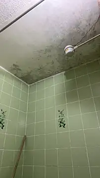 Snapshot of sylphiee_ chatting on 8, 4, 2026 sylphiee online show from 8, 4, 2026