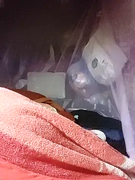 Snapshot of chekoko chatting on 17, 4, 2026 chekoko online show from 17, 4, 2026