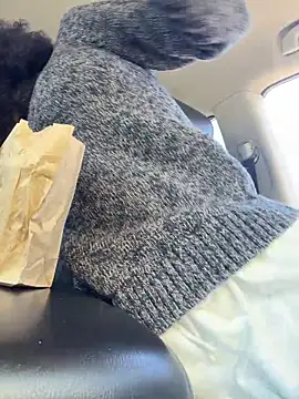 Snapshot of FerrariFrench chatting on 29, 3, 2026 FerrariFrench online show from 29, 3, 2026