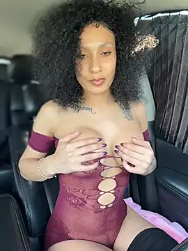 Snapshot of FerrariFrench chatting on 9, 4, 2026 FerrariFrench online show from 9, 4, 2026