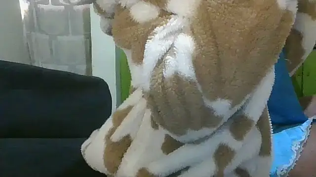 Snapshot of Elianastar chatting on 16, 4, 2026 Elianastar online show from 16, 4, 2026