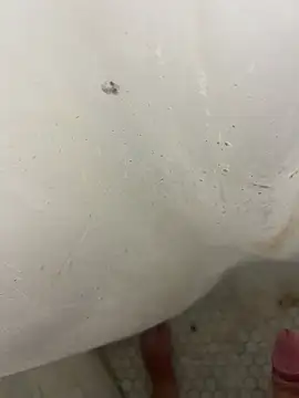 Snapshot of Jacobhj chatting on 20, 4, 2026 Jacobhj online show from 20, 4, 2026