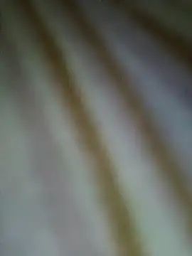 Snapshot of Mona_ji32 chatting on 29, 3, 2026 Mona ji32 online show from 29, 3, 2026