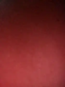 Snapshot of leidi-95- chatting on 7, 4, 2026 leidi-95- online show from 7, 4, 2026