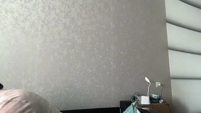 Snapshot of tomasdickpick chatting on 9, 8, 2026 tomasdickpick online show from 9, 8, 2026