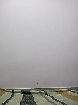 M  Payal   online show from 22, 3, 2026