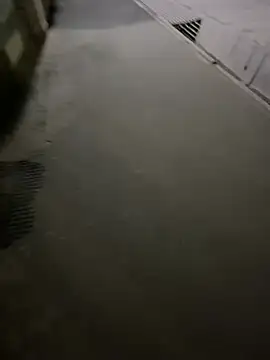 Wildlovee online show from 12, 4, 2026