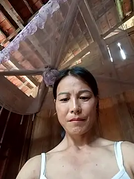 Snapshot of -Numin- chatting on 29, 5, 2026 -Numin- online show from 29, 5, 2026