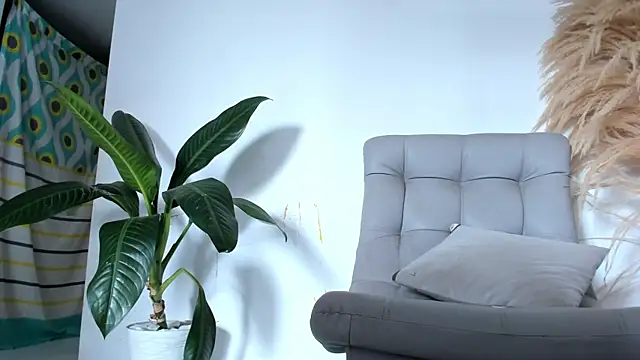 DakotaStills  online show from 4, 5, 2026