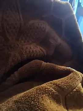 sexy-girl147 online show from 5, 4, 2026