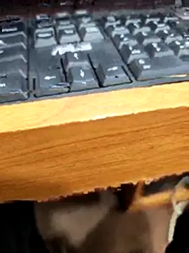 Snapshot of SLBL chatting on 27, 3, 2026 SLBL online show from 27, 3, 2026