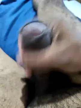 Snapshot of SLBL chatting on 11, 4, 2026 SLBL online show from 11, 4, 2026