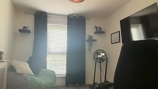 DaveRoyale online show from 12, 4, 2026