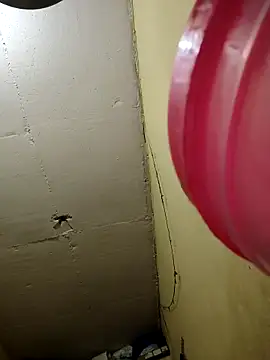 CuteGirl Moni online show from 7, 4, 2026